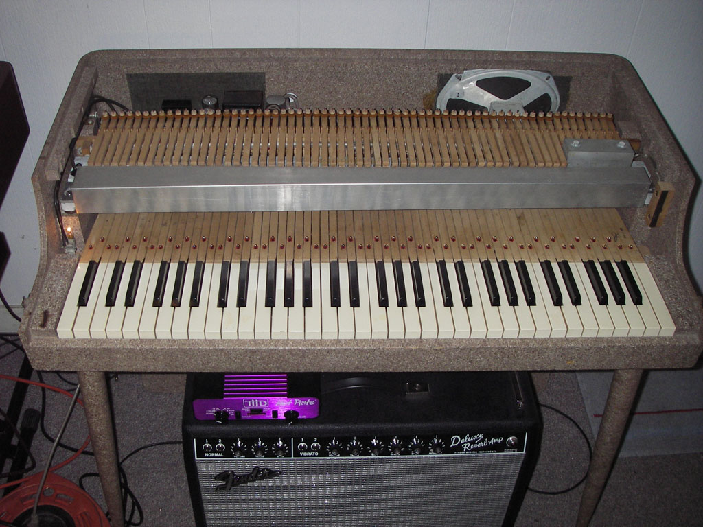 IMGP1959